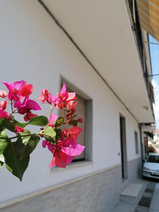 Bouganville Da Gio Scalea Exterior foto